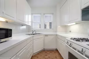 5000 S Cornell Ave, Chicago, IL 60615 - Photo 13