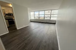 4800 S Chicago Beach Dr, Chicago, IL 60615 - Photo 7
