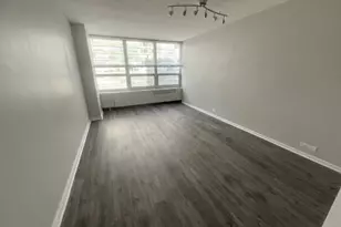 4800 S Chicago Beach Dr, Chicago, IL 60615 - Photo 9