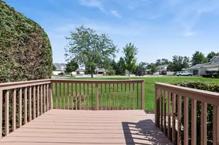 532 Lisson, New Lenox, IL 60451 - Photo 21