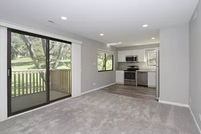 746B Oak Hill Road #C485SFR, Lake Barrington, IL 60010 - Photo 7