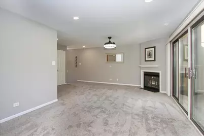 746B Oak Hill Road #C485SFR, Lake Barrington, IL 60010 - Photo 3
