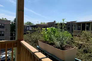 5339 S Ellis Ave, Chicago, IL 60615 - Photo 25