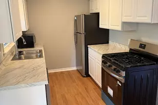 6101 Stonewall Ave, Downers Grove, IL 60516 - Photo 9