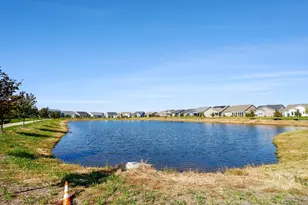 3207 Dove Mountain Dr, Aurora, IL 60503 - Photo 23