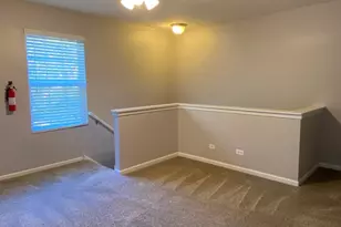 201 Springbrook Trail S, Oswego, IL 60543 - Photo 13