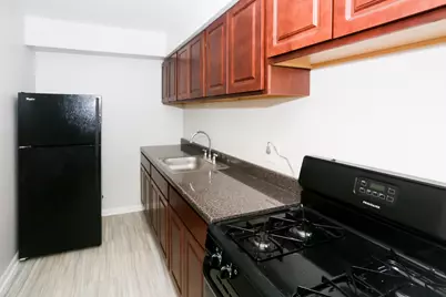 1040 W Hollywood Avenue #310, Chicago, IL 60660 - Photo 3