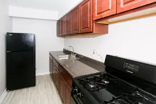 1040 W Hollywood Ave, Chicago, IL 60660 - Photo 3