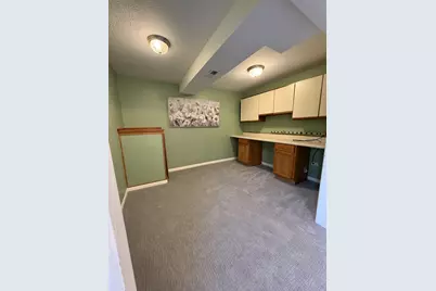 8885 Dryden Street, Woodridge, IL 60517 - Photo 23