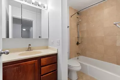 222 E Pearson Street #1606, Chicago, IL 60611 - Photo 11