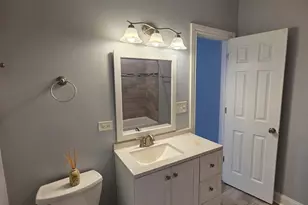517 E 46th Pl E, Chicago, IL 60653 - Photo 17