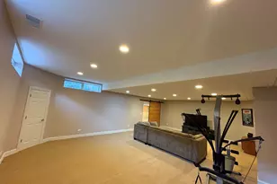 12305 W Donegal Ln, New Lenox, IL 60451 - Photo 21