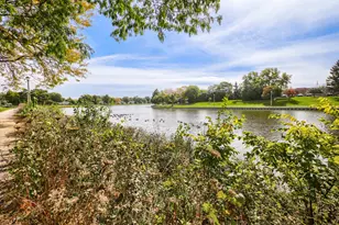 945 Shattuck Ln, Schaumburg, IL 60194 - Photo 19
