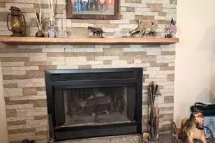 24615 S Teal Dr, Channahon, IL 60410 - Photo 21