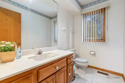 207 Linden Road S, Prospect Heights, IL 60070 - Photo 25
