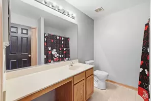 1009 Butterfield Cir W, Shorewood, IL 60404 - Photo 29