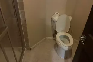 1133 E 83rd Street E, Chicago, IL 60619 - Photo 13