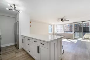 30 E Elm St, Chicago, IL 60611 - Photo 7
