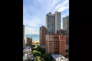30 E Elm St, Chicago, IL 60611 - Photo 23