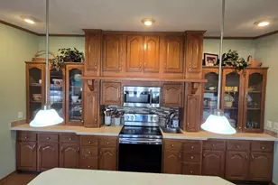 928 Holly Dr, Manteno, IL 60950 - Photo 7