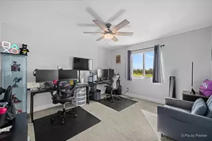 5031 W Hawk Ln, Monee, IL 60449 - Photo 19