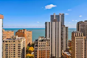 1325 N State Pkwy, Chicago, IL 60610 - Photo 23