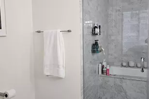 10 E Delaware Pl, Chicago, IL 60611 - Photo 13