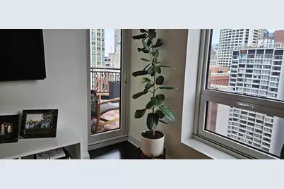 10 E Delaware Place #20C, Chicago, IL 60611 - Photo 9