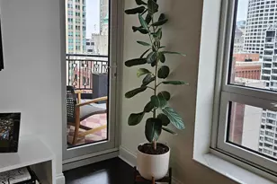 10 E Delaware Pl, Chicago, IL 60611 - Photo 9