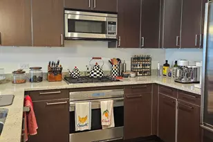 10 E Delaware Pl, Chicago, IL 60611 - Photo 3