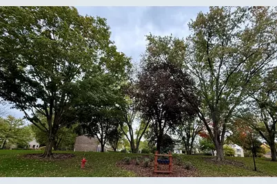 983 Bosworthfield Road, Barrington, IL 60010 - Photo 39