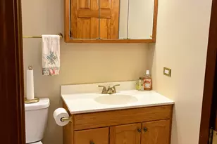 521 King Arthur Way, Bolingbrook, IL 60440 - Photo 19