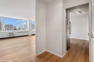 4250 N Marine Dr, Chicago, IL 60613 - Photo 9