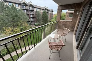 5 S Pine St, Mount Prospect, IL 60056 - Photo 21