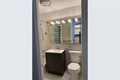 4800 S Chicago Beach Drive #303N, Chicago, IL 60615 - Photo 11