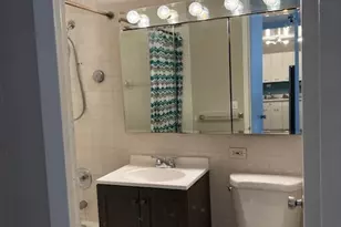 4800 S Chicago Beach Dr, Chicago, IL 60615 - Photo 11