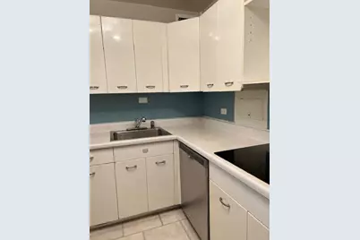 4800 S Chicago Beach Drive #303N, Chicago, IL 60615 - Photo 7