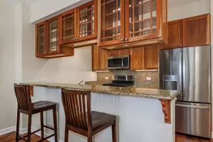 233 E 13th St, Chicago, IL 60605 - Photo 11