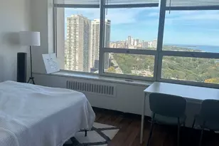 70 W Burton Pl, Chicago, IL 60610 - Photo 3