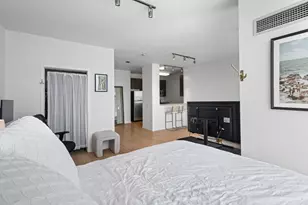 757 N Orleans St, Chicago, IL 60654 - Photo 9