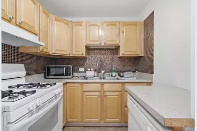 2605 S Indiana Avenue #304, Chicago, IL 60616 - Photo 19