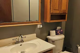 328 Homer Ave, Romeoville, IL 60446 - Photo 23