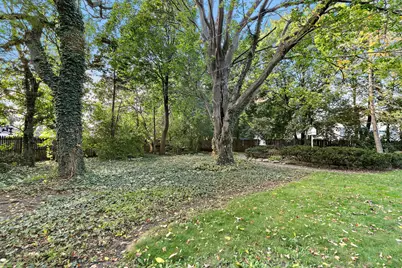 101 Marion Street, Roselle, IL 60172 - Photo 41