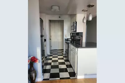 111 W Maple Street #1101, Chicago, IL 60610 - Photo 17