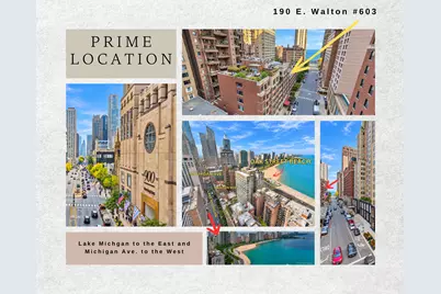 190 E Walton Place #603, Chicago, IL 60611 - Photo 3