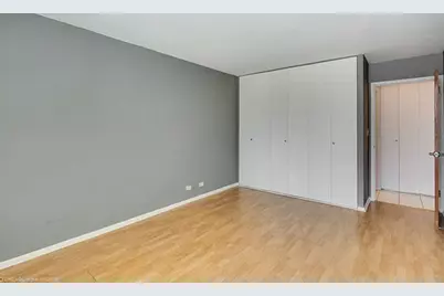 1360 N Sandburg Terrace #303, Chicago, IL 60610 - Photo 11