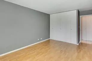 1360 N Sandburg Terrace, Chicago, IL 60610 - Photo 11