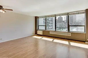 1360 N Sandburg Terrace, Chicago, IL 60610 - Photo 3