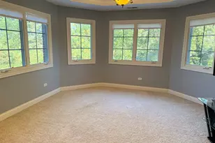 13821 Tallgrass Trail, Orland Park, IL 60462 - Photo 5