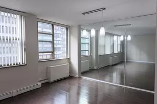 40 E Cedar St, Chicago, IL 60611 - Photo 7